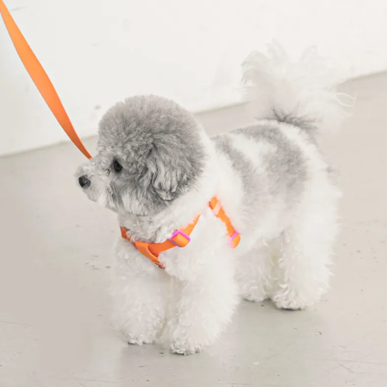 Candy Crayon Harness - Orange