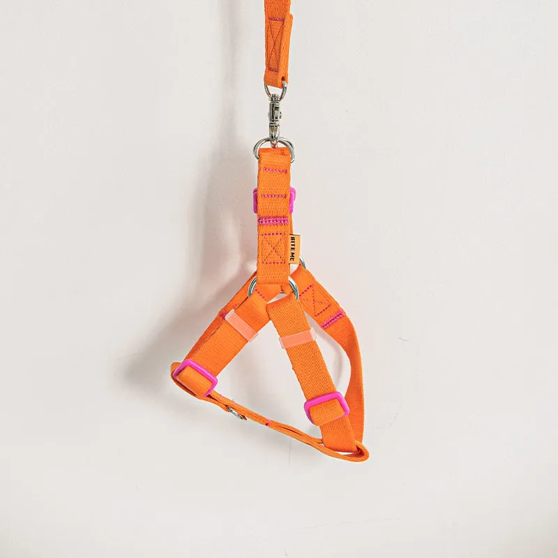 Candy Crayon Harness - Orange