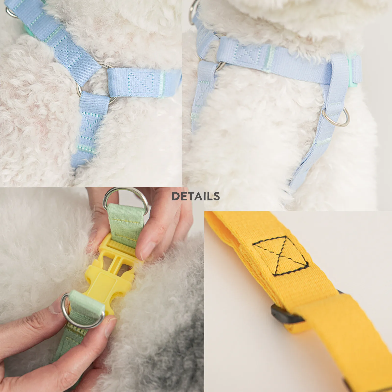 Candy Crayon Harness - Orange